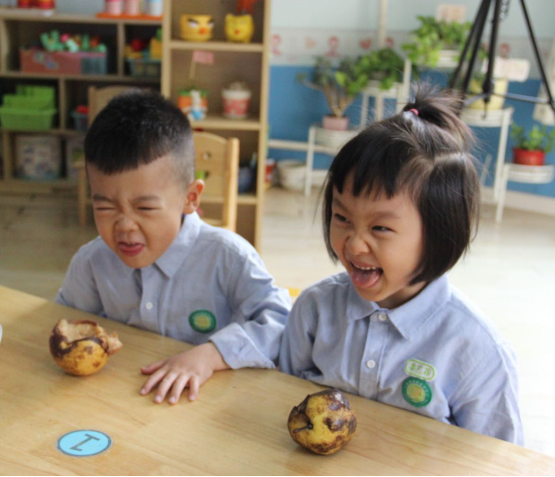 360截图16630508513992.png